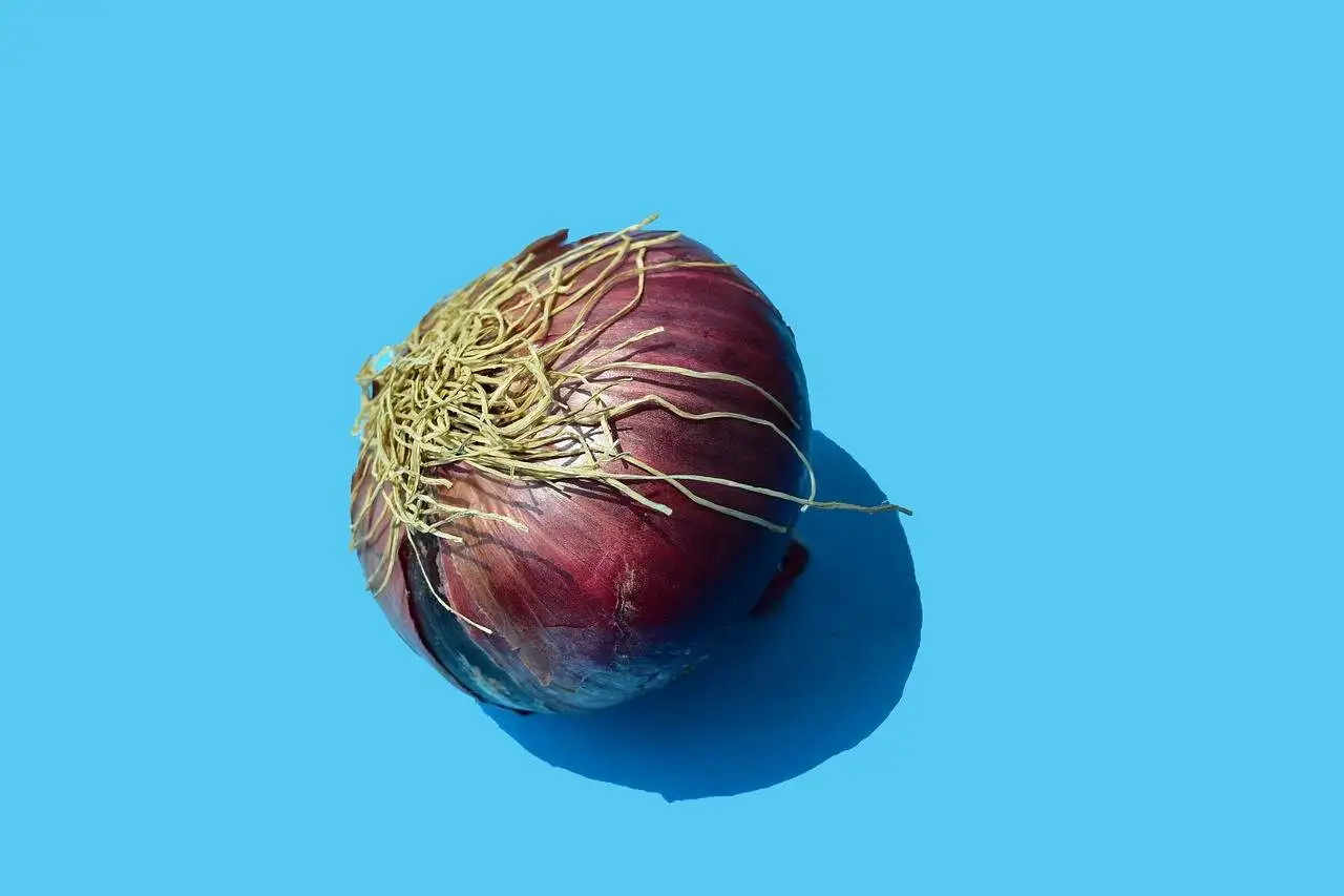 The Future of Sustainable Tourism: Eco-Friendly Destinations and Experiences