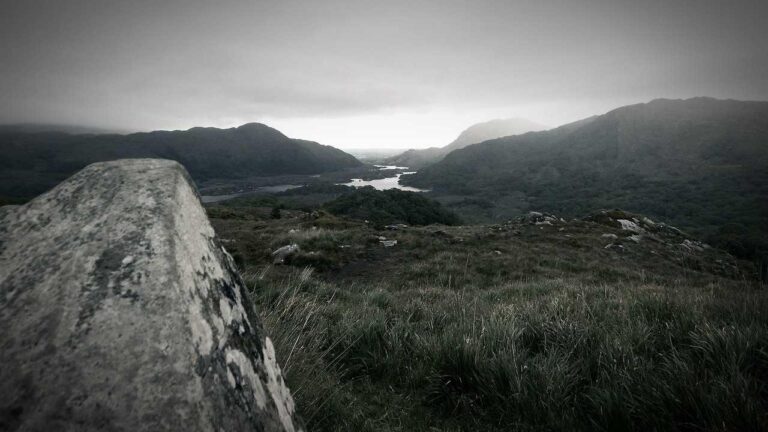 Does 11Xplay Sign Up Login Password India Require Kyc Approval?